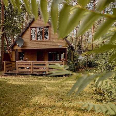 Domek Ptasie Radio Ostróda Exteriér fotografie